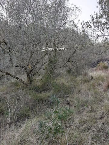 Działka budowlana na sprzedaż w Salomó - 30 000 € (Ref: 9534722)