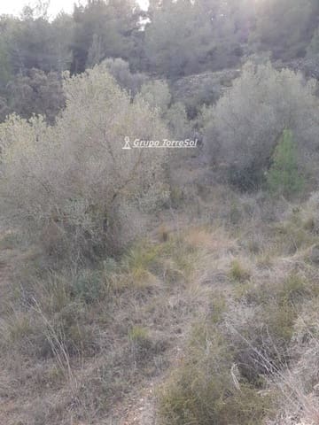 Działka budowlana na sprzedaż w Salomó - 30 000 € (Ref: 9534722)