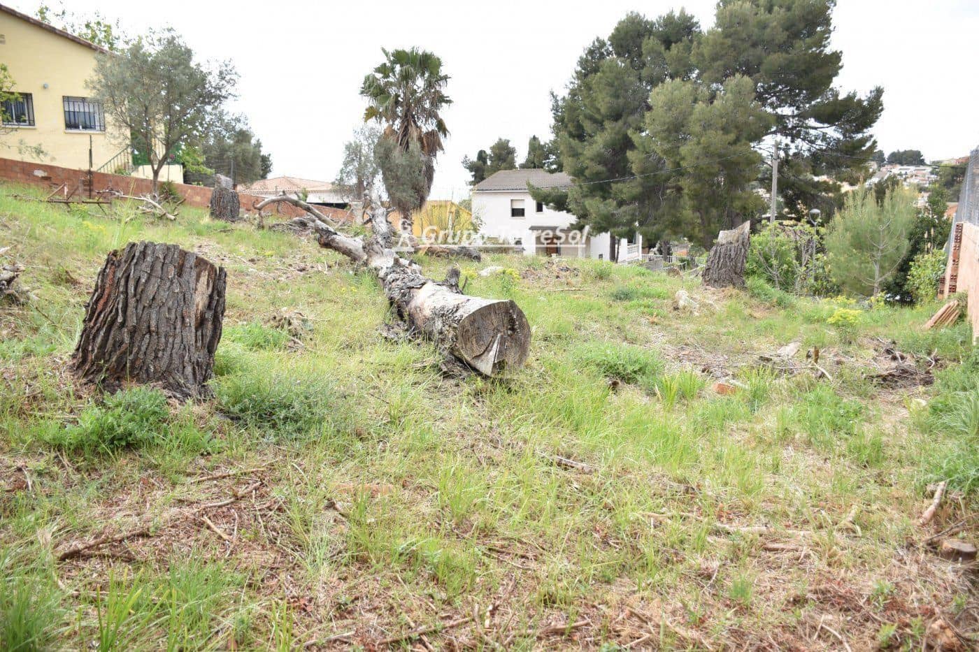 Terreno para Construção para venda em Bellvei - 50 000 € (Ref: 9536132)