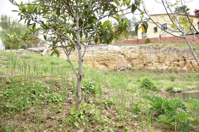 Terreno para Construção para venda em Bellvei - 50 000 € (Ref: 9536132)