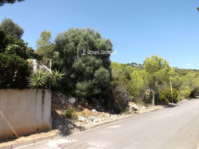 Solar/Parcela en Segur de Calafell, Calafell en venta - 35.000 € (Ref: 9536139)
