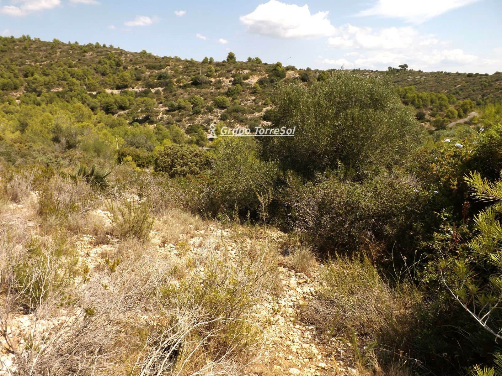Area Edificabile in vendita in Segur de Calafell - 30.000 € (Rif: 9536139)