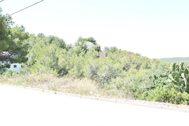 Area Edificabile in vendita in La Bisbal del Penedès - 14.500 € (Rif: 9536144)