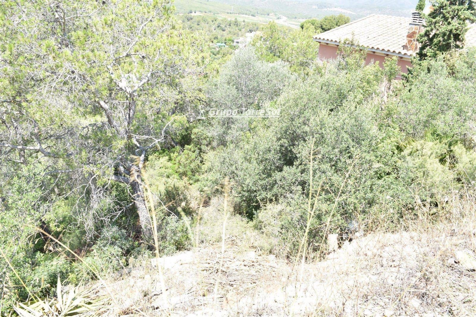 Area Edificabile in vendita in La Bisbal del Penedes - 14.500 € (Rif: 9536144)