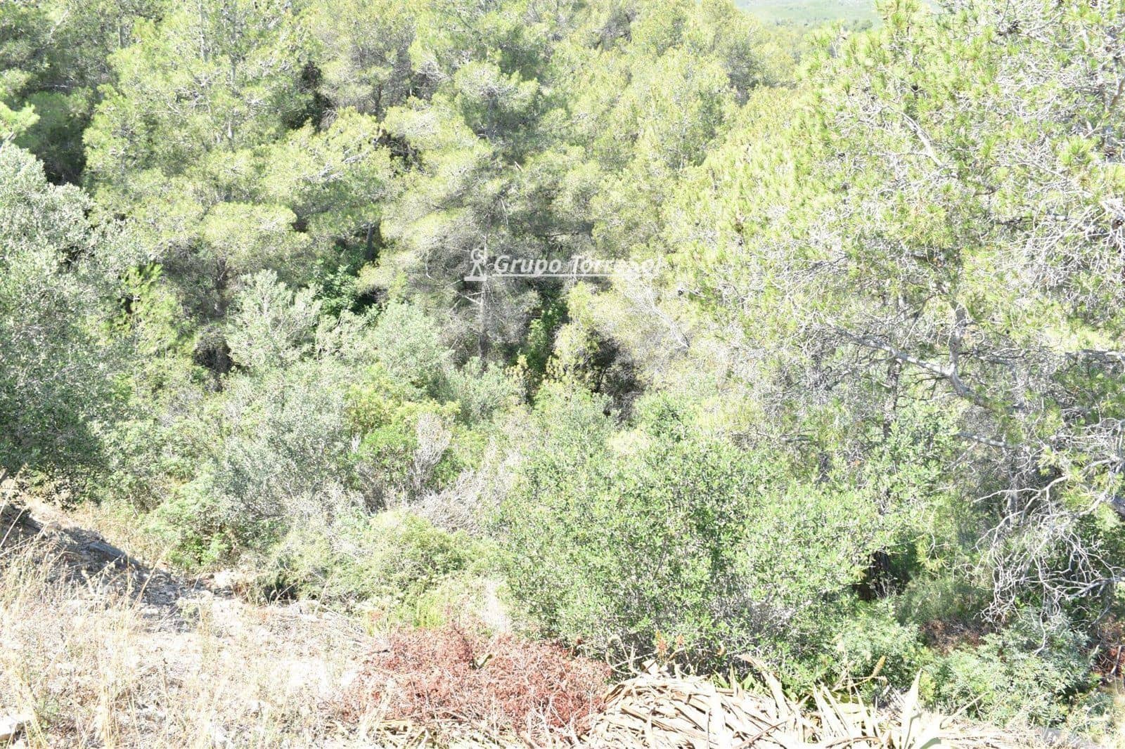 Area Edificabile in vendita in La Bisbal del Penedes - 14.500 € (Rif: 9536144)