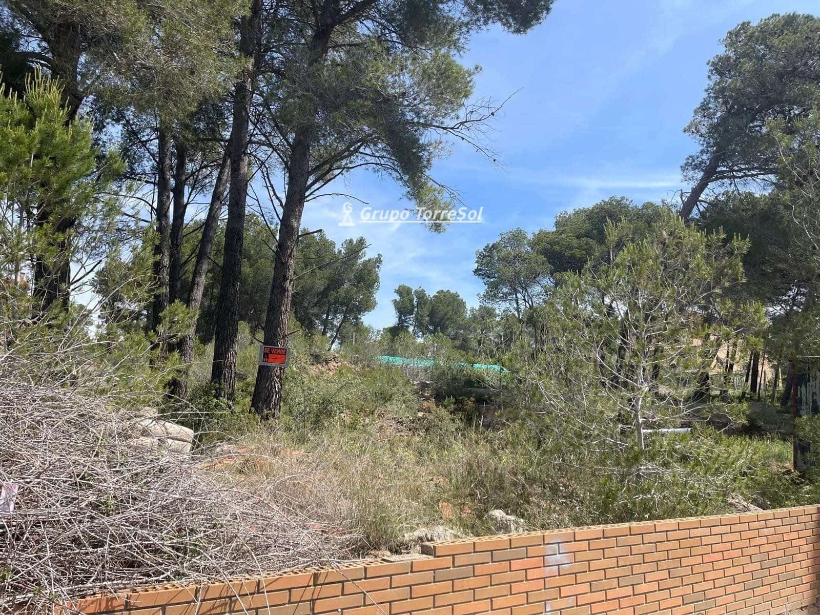 Byggegrund til salg i Cabra del Camp - € 22.500 (Ref: 9552563)