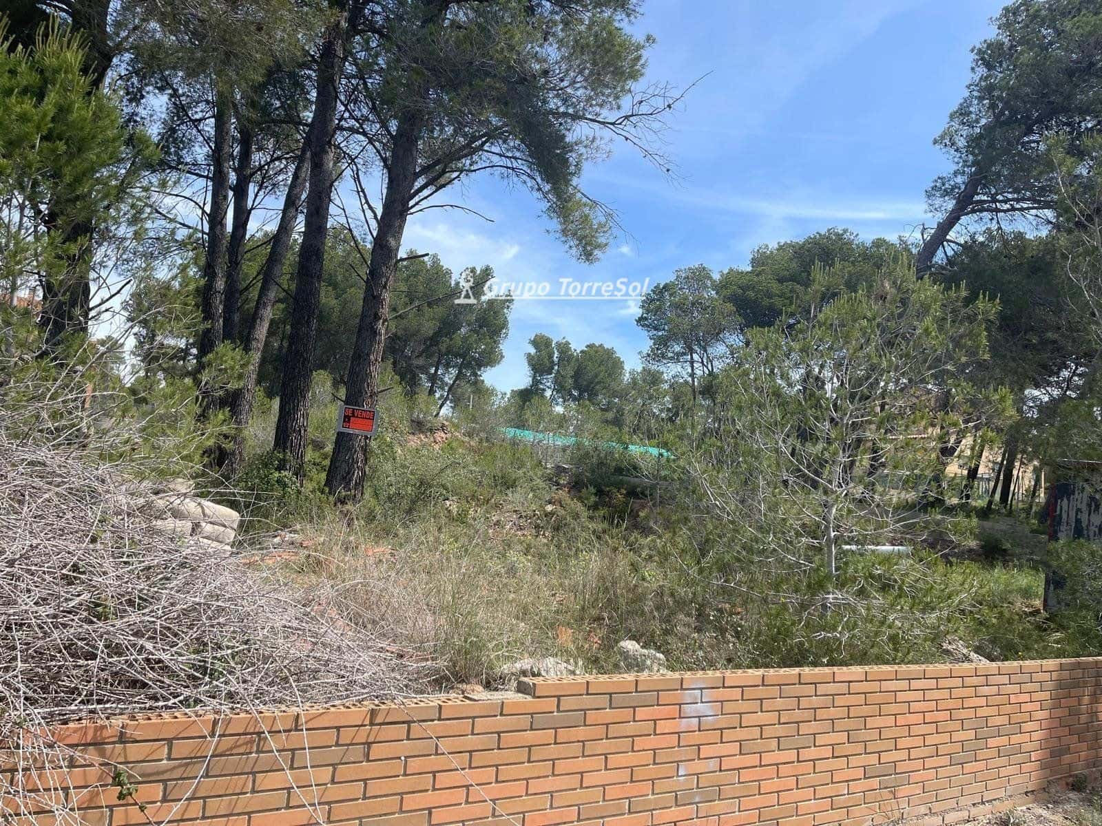 Byggegrund til salg i Cabra del Camp - € 22.500 (Ref: 9552563)