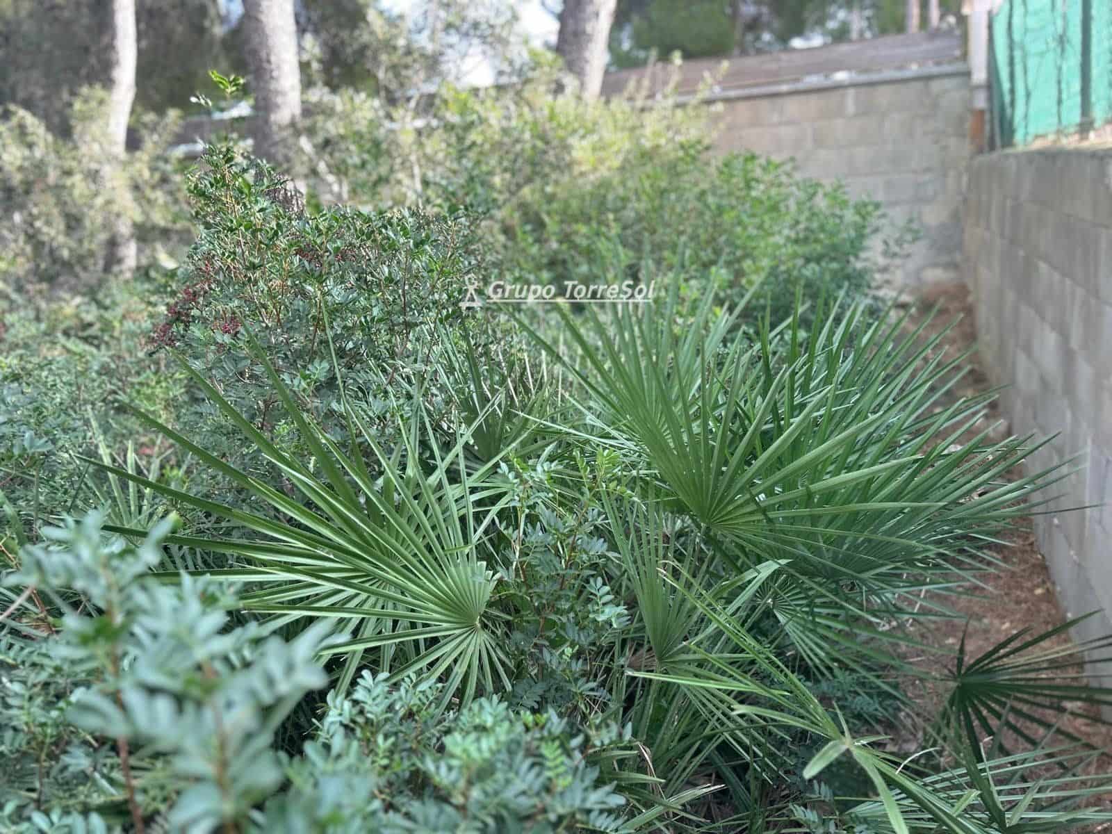 Building Plot for sale in Segur de Calafell - € 54,000 (Ref: 9569932)