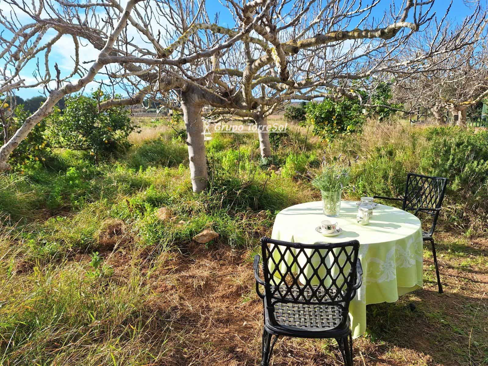 3 slaapkamer Villa te koop in El Vendrell - € 498.000 (Ref: 9602700)