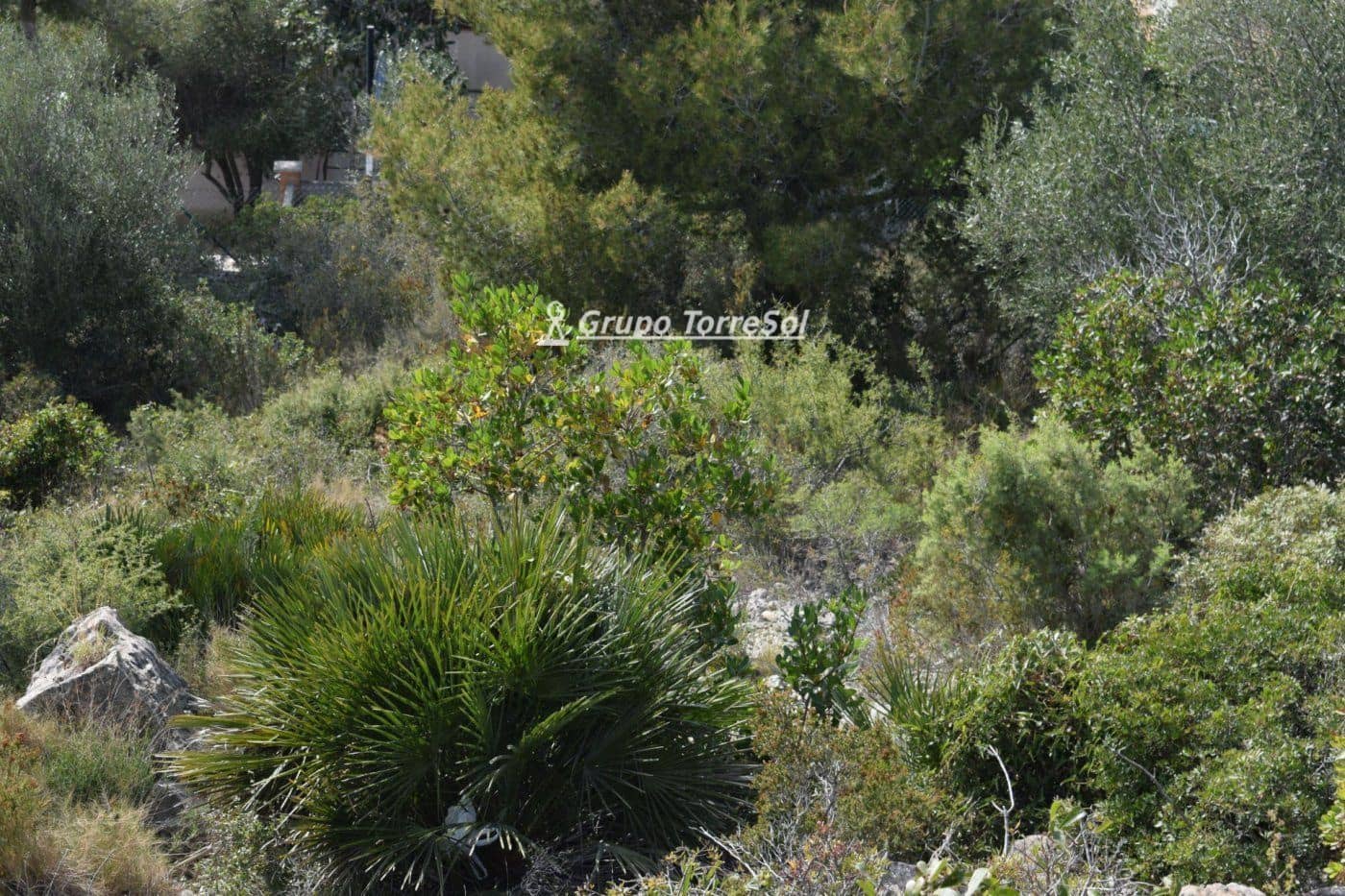 Bauplatz zu verkaufen in Segur de Calafell - 35.000 € (Ref: 9606815)