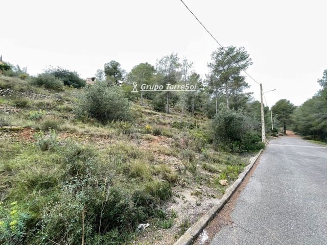 Bouwgrond te koop in La Bisbal del Penedès - € 15.000 (Ref: 9696874)