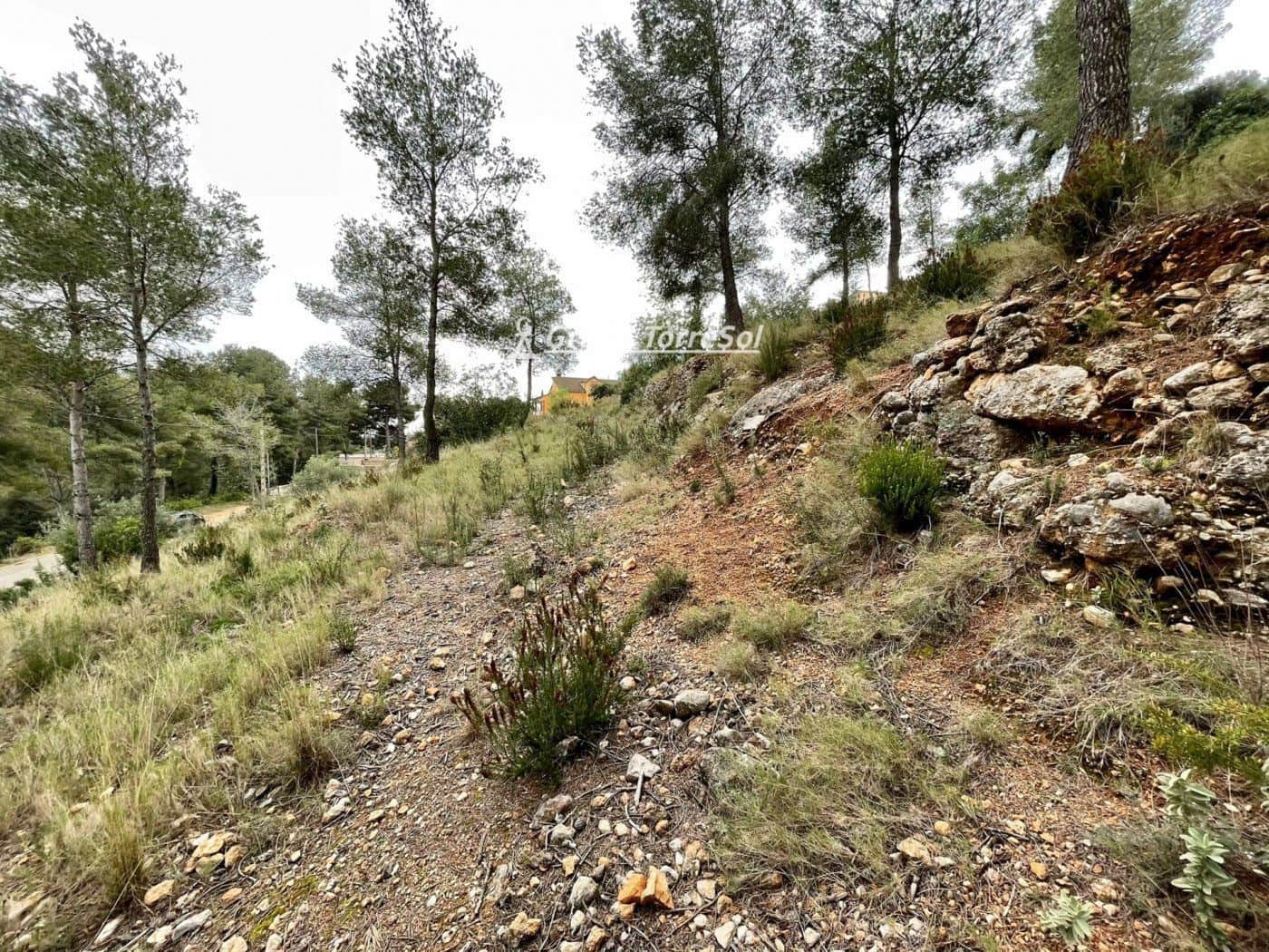 Building Plot for sale in La Bisbal del Penedes - € 15,000 (Ref: 9696874)