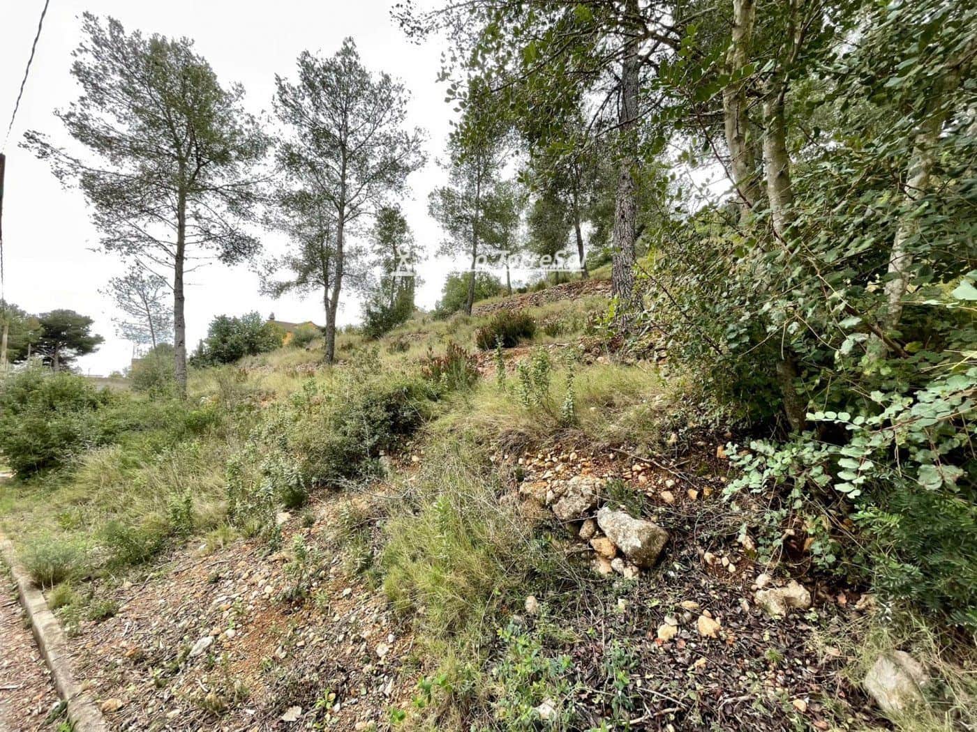 Building Plot for sale in La Bisbal del Penedes - € 15,000 (Ref: 9696874)