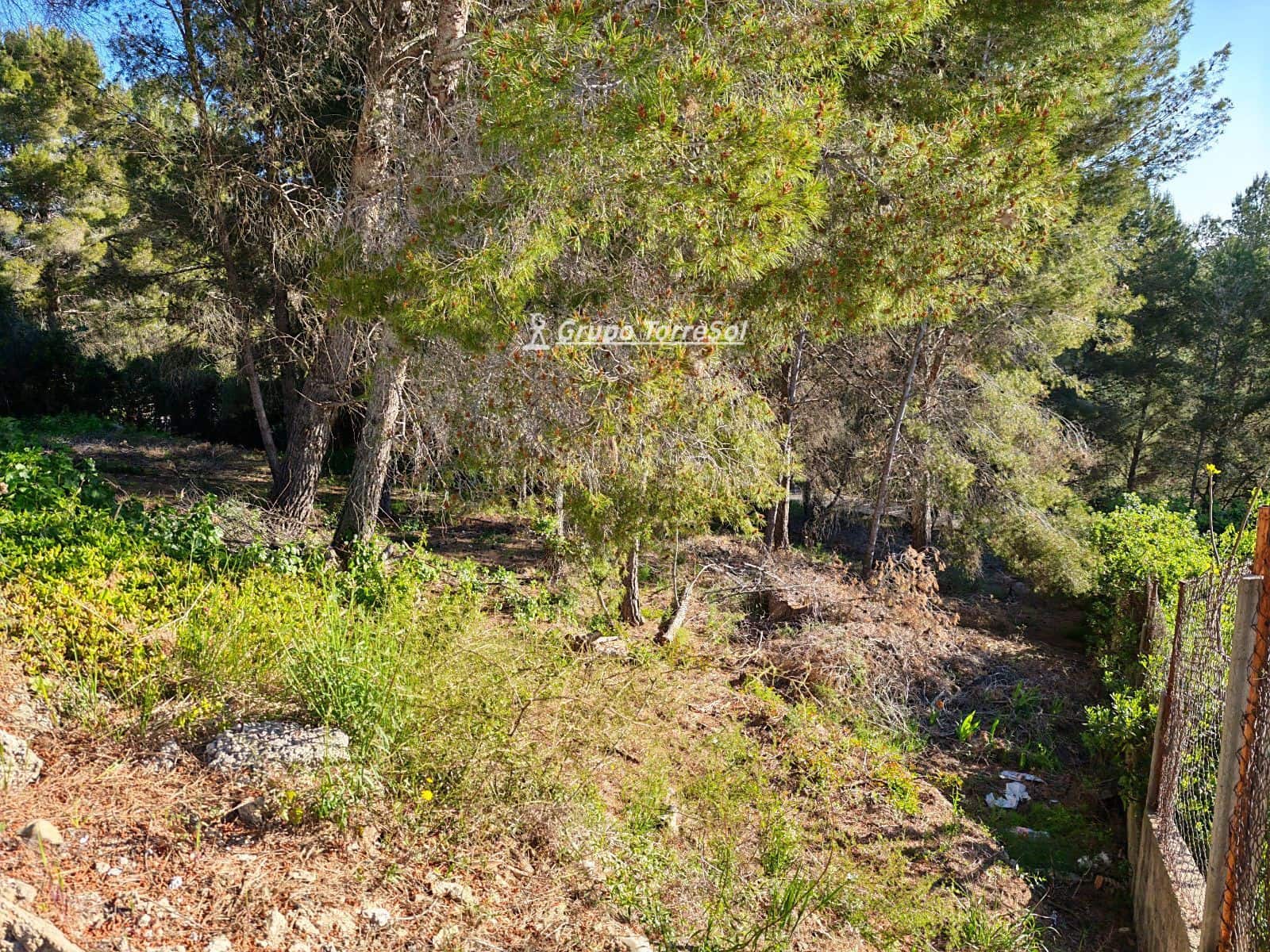 Building Plot for sale in La Bisbal del Penedes - € 39,000 (Ref: 9739244)