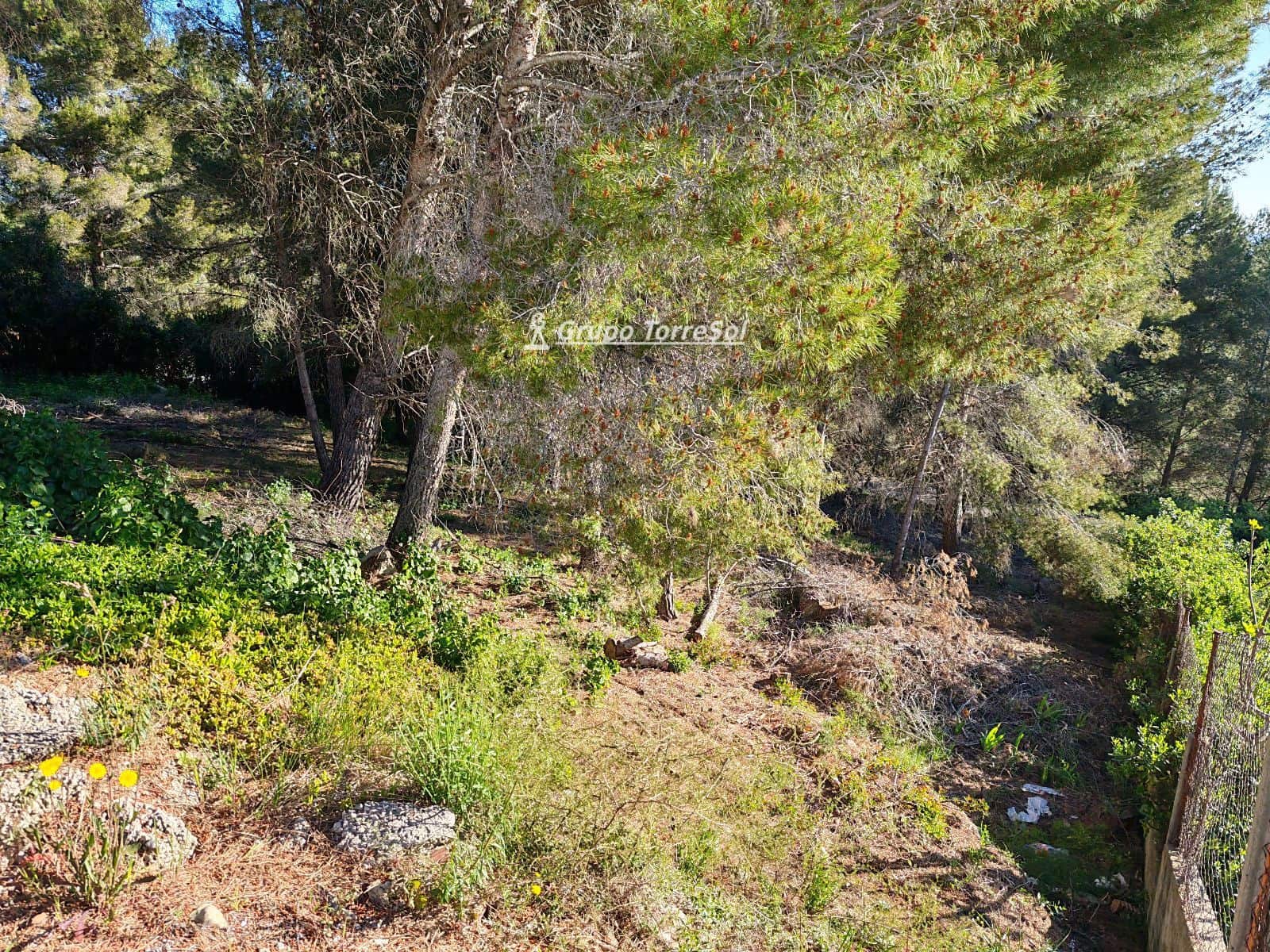 Building Plot for sale in La Bisbal del Penedes - € 39,000 (Ref: 9739244)