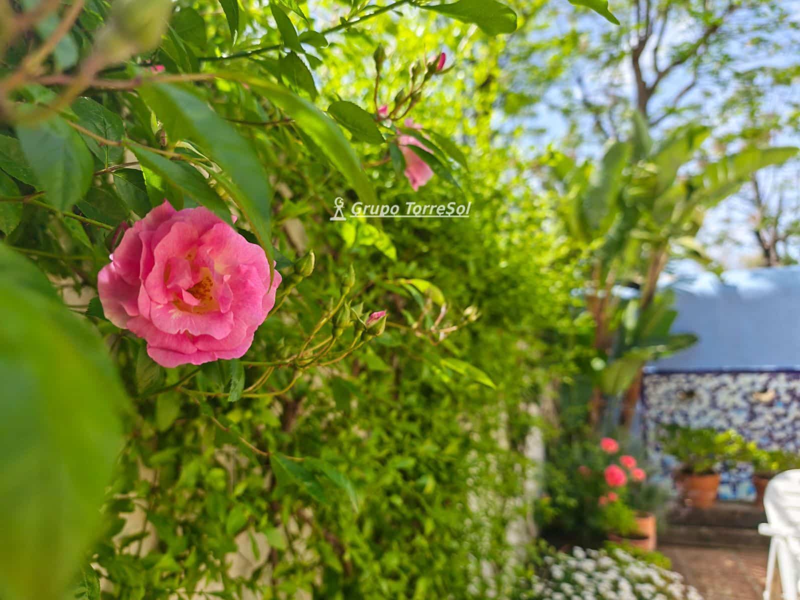 5 sypialnia Dom na sprzedaż w Llorenc del Penedes - 379 000 € (Ref: 9808561)