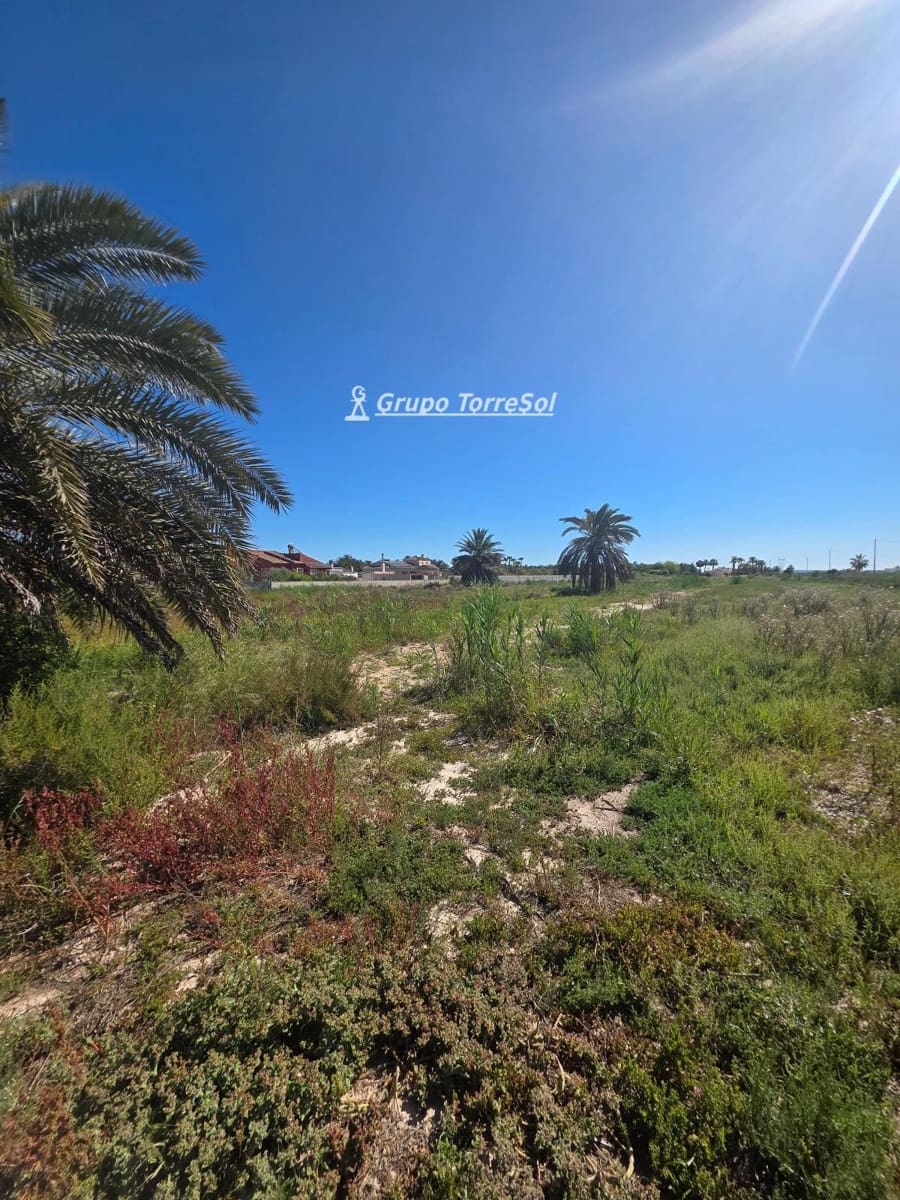Terreno/Finca Rústica en Elche / Elx en venta - 104.900 € (Ref: 9827498)