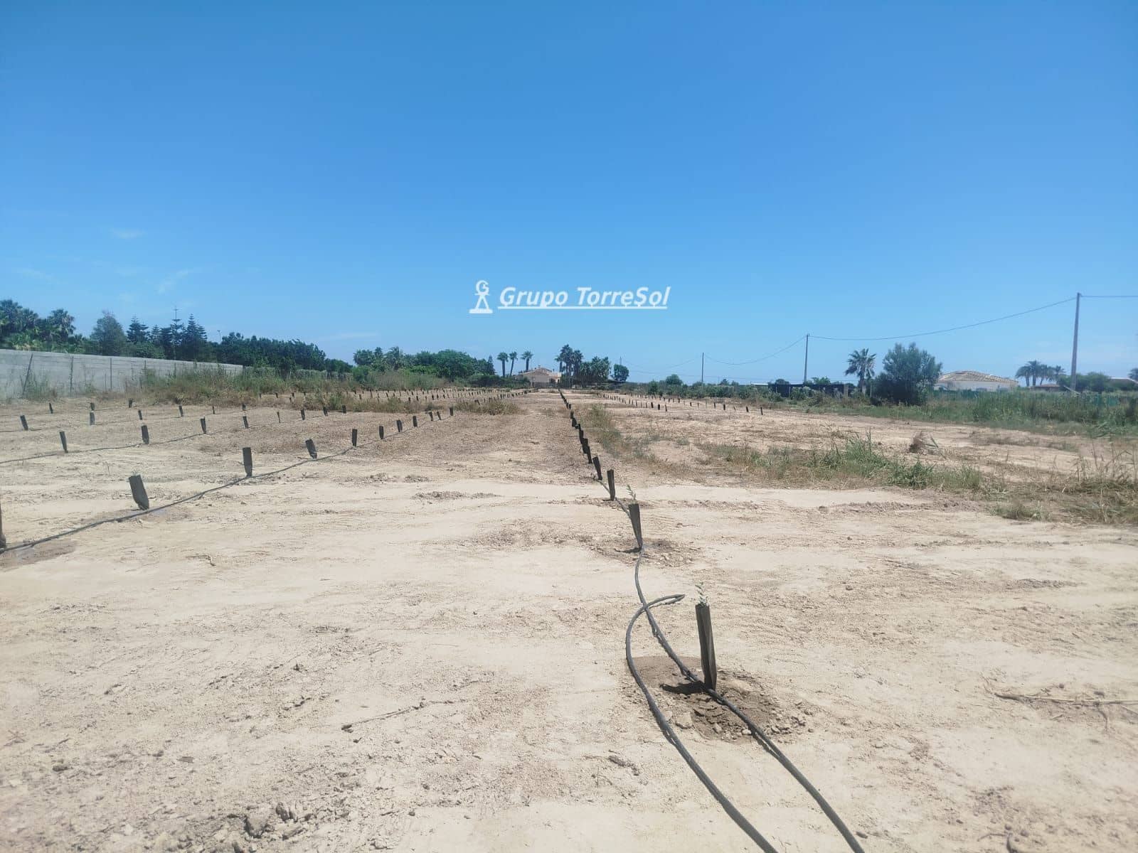 Terreno/Finca Rústica en Elche / Elx en venta - 104.900 € (Ref: 9827498)