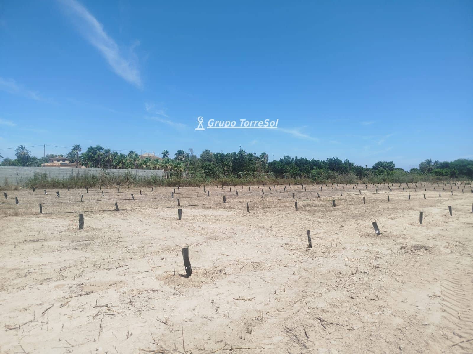 Terreno/Finca Rústica en Elche / Elx en venta - 104.900 € (Ref: 9827498)