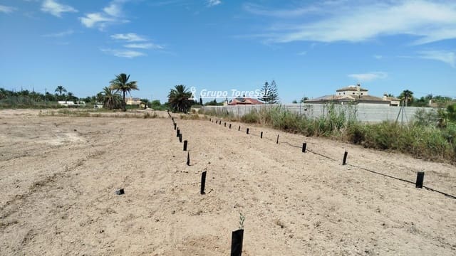 Terreno Non Edificato in vendita in Elche / Elx - 104.900 € (Rif: 9827498)