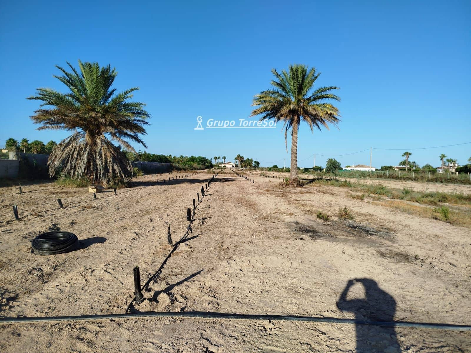 Terreno/Finca Rústica en Elche / Elx en venta - 104.900 € (Ref: 9827498)