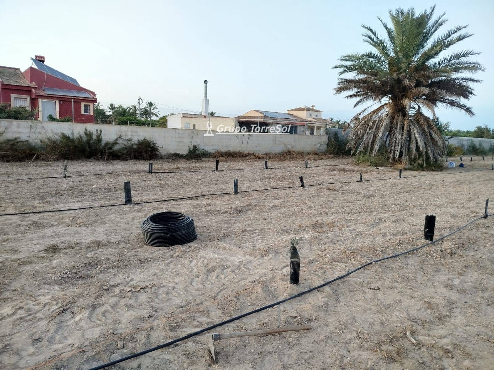 Terreno/Finca Rústica en Elche / Elx en venta - 104.900 € (Ref: 9827498)