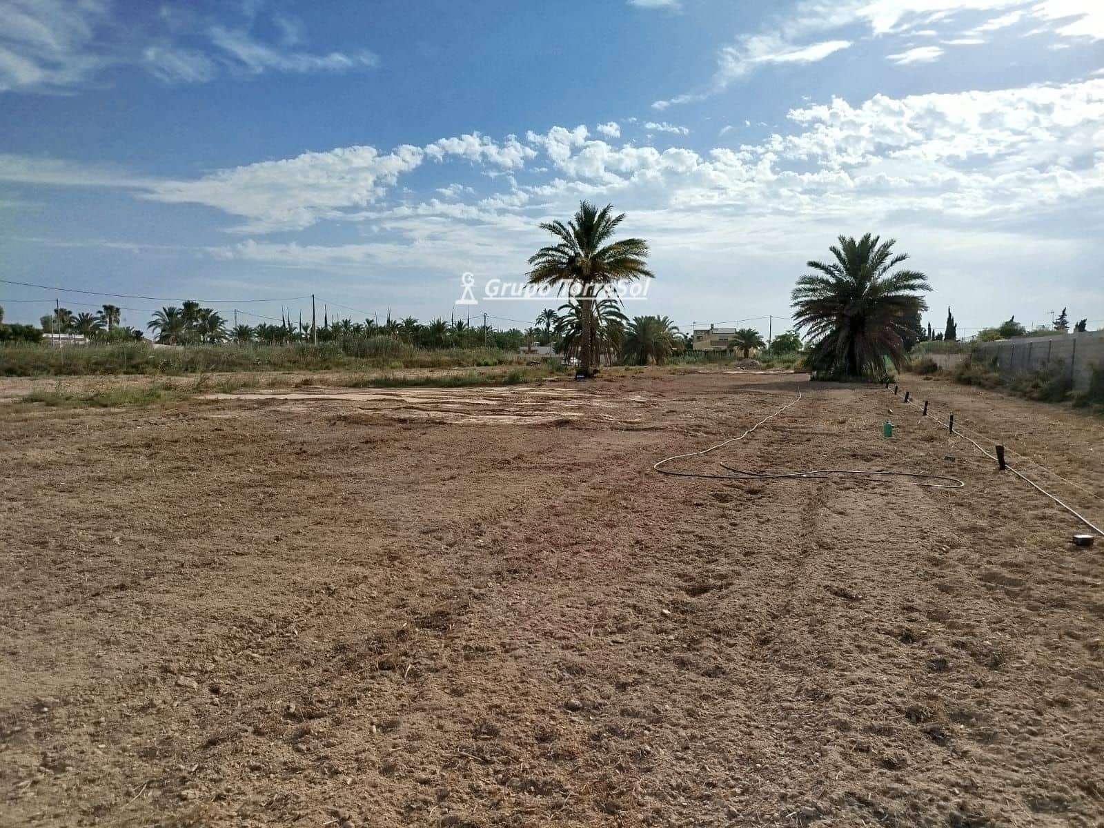 Terreno/Finca Rústica en Elche / Elx en venta - 104.900 € (Ref: 9827498)
