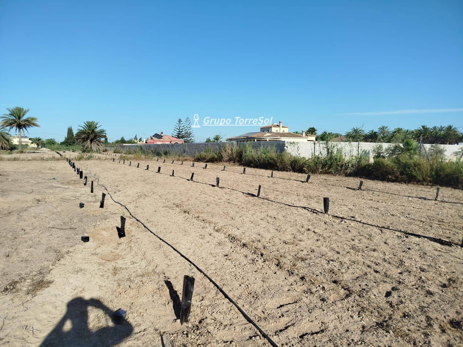 Terreno/Finca Rústica en Elche / Elx en venta - 104.900 € (Ref: 9827498)