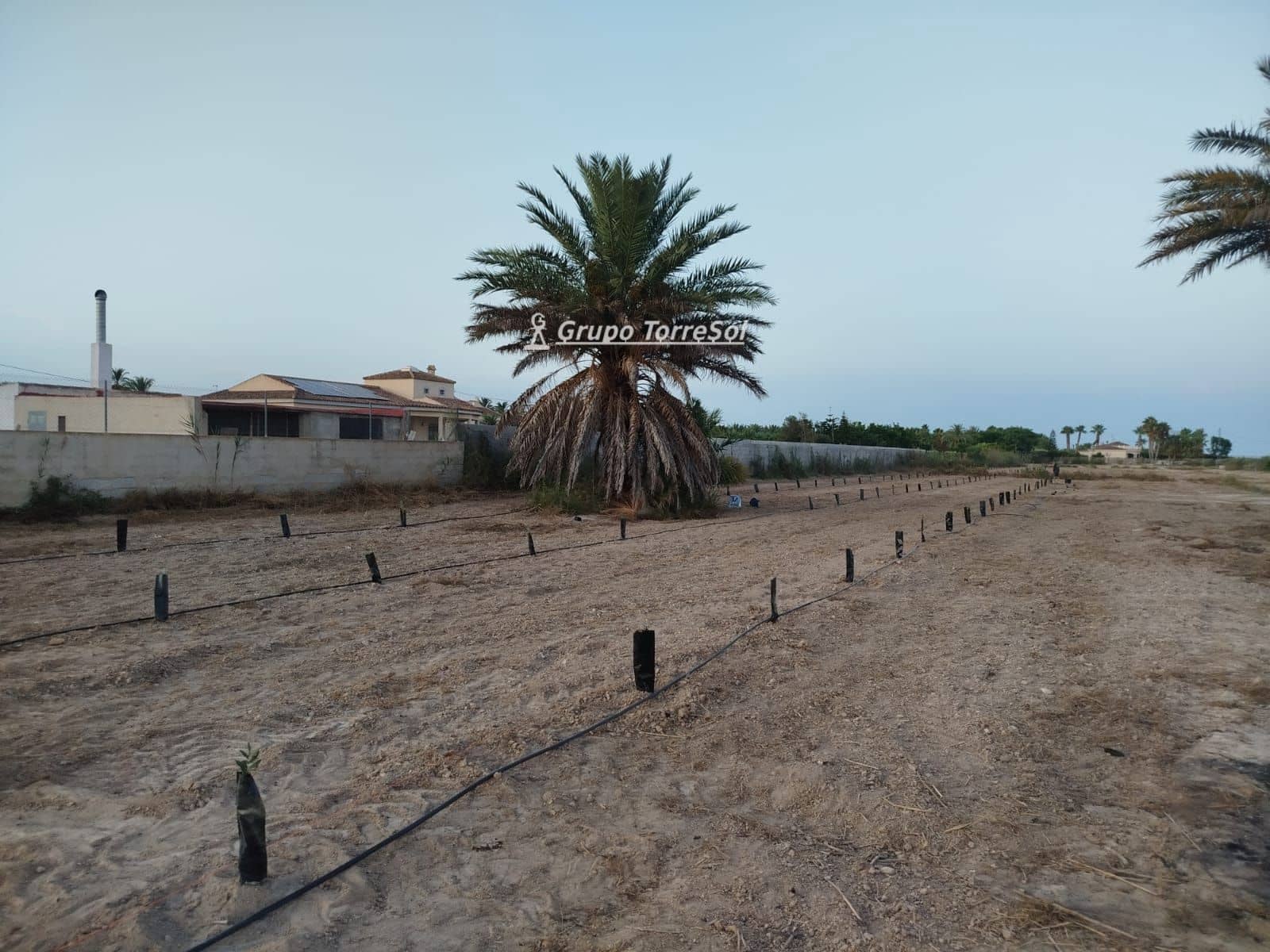 Terreno/Finca Rústica en Elche / Elx en venta - 104.900 € (Ref: 9827498)