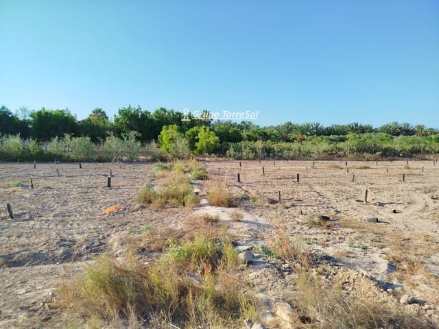 Terreno Non Edificato in vendita in Elche / Elx - 104.900 € (Rif: 9827498)