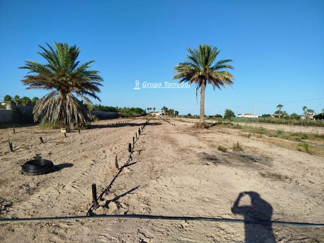 Terreno Non Edificato in vendita in Elche / Elx - 104.900 € (Rif: 9827498)