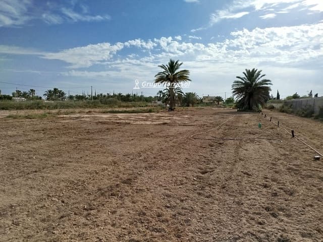 Terreno Non Edificato in vendita in Elche / Elx - 104.900 € (Rif: 9827498)