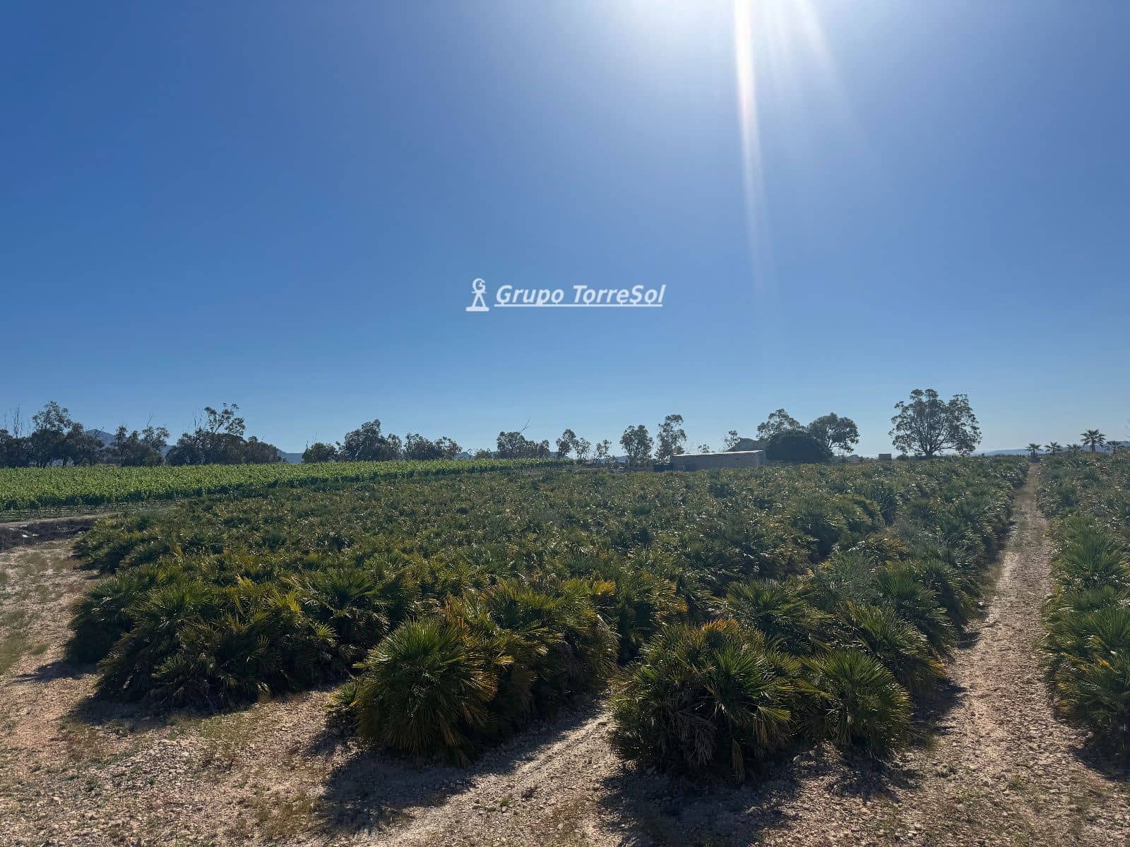 Undeveloped Land for sale in Monforte del Cid - € 180,000 (Ref: 9860789)