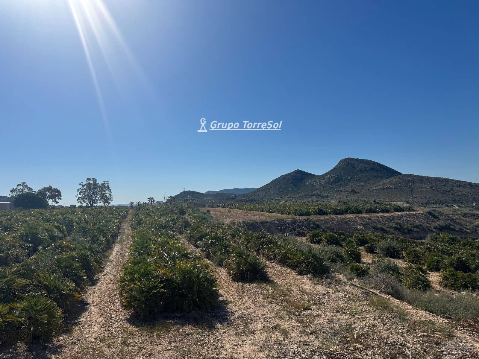 Undeveloped Land for sale in Monforte del Cid - € 180,000 (Ref: 9860789)