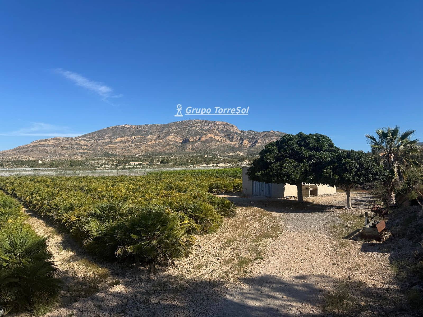 Undeveloped Land for sale in Monforte del Cid - € 180,000 (Ref: 9860789)