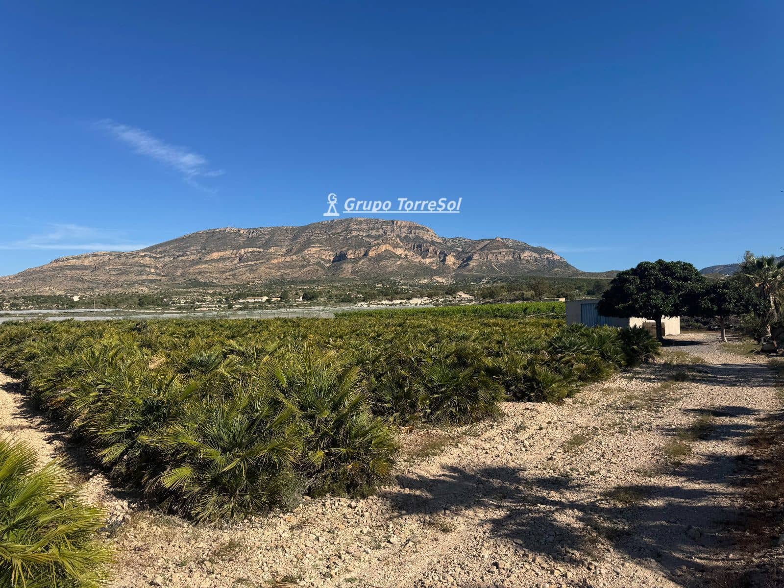 Undeveloped Land for sale in Monforte del Cid - € 180,000 (Ref: 9860789)