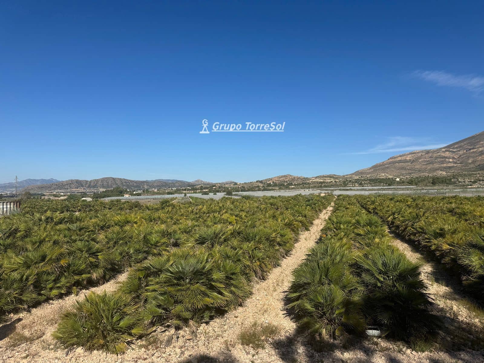Undeveloped Land for sale in Monforte del Cid - € 180,000 (Ref: 9860789)
