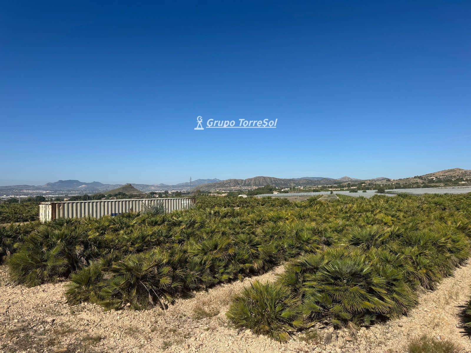 Undeveloped Land for sale in Monforte del Cid - € 180,000 (Ref: 9860789)