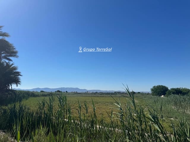Grunde uden byggetilladelser til salg i Elche / Elx - € 75.000 (Ref: 9867303)