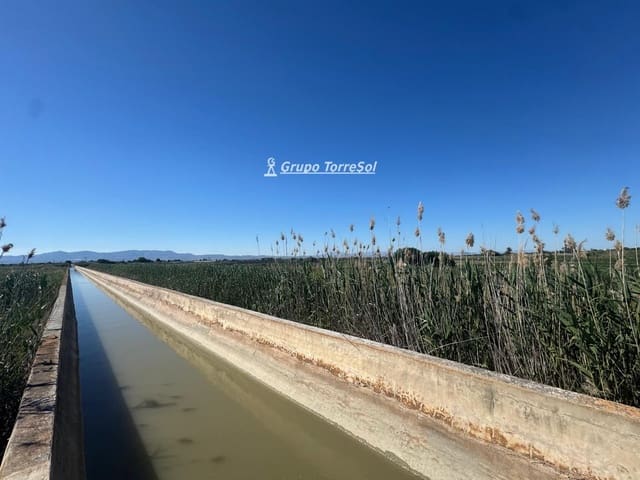 Grunde uden byggetilladelser til salg i Elche / Elx - € 75.000 (Ref: 9867303)