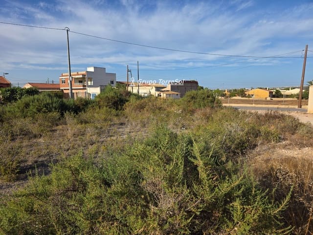 Byggegrund til salg i Elche / Elx - € 150.000 (Ref: 9955531)