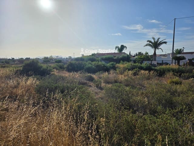 Byggegrund til salg i Elche / Elx - € 150.000 (Ref: 9955531)