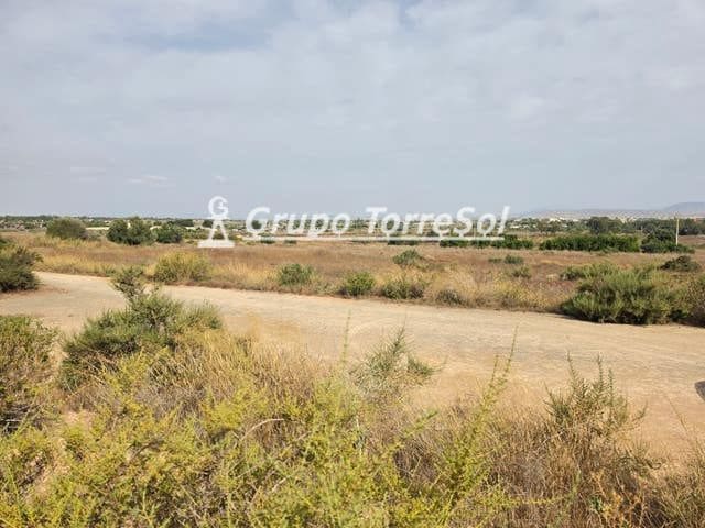Ubebygd land til salgs i Elche / Elx - € 55 000 (Ref: 9977954)