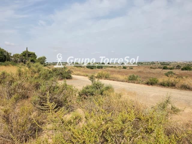 Ubebygd land til salgs i Elche / Elx - € 55 000 (Ref: 9977954)