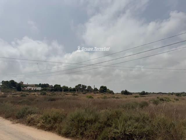 Ubebygd land til salgs i Elche / Elx - € 55 000 (Ref: 9977954)
