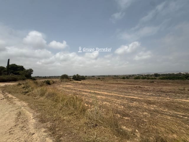 Ubebygd land til salgs i Elche / Elx - € 55 000 (Ref: 9977954)