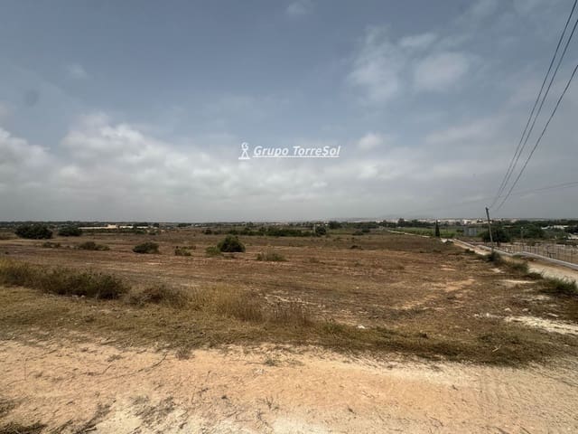 Ubebygd land til salgs i Elche / Elx - € 55 000 (Ref: 9977954)