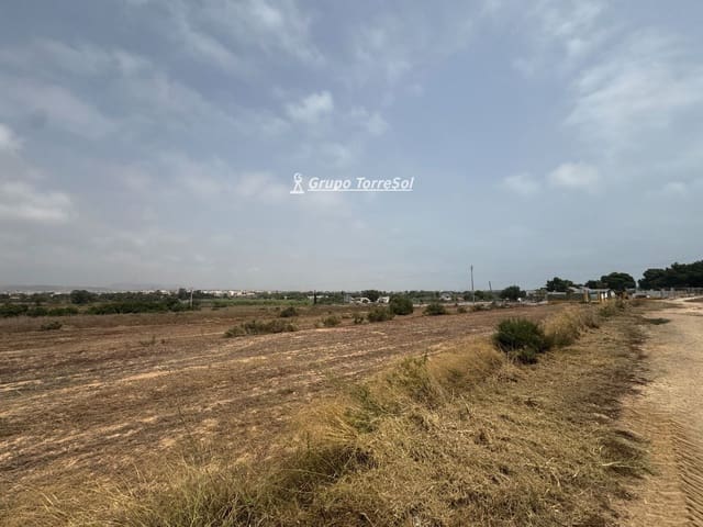 Ubebygd land til salgs i Elche / Elx - € 55 000 (Ref: 9977954)