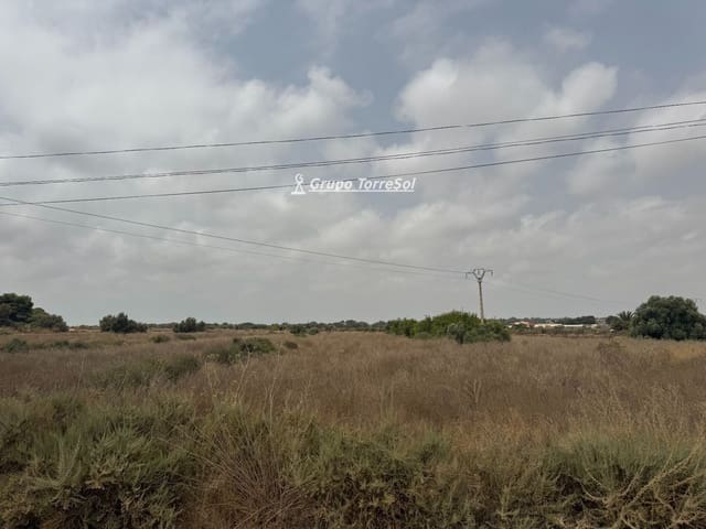 Ubebygd land til salgs i Elche / Elx - € 55 000 (Ref: 9977954)