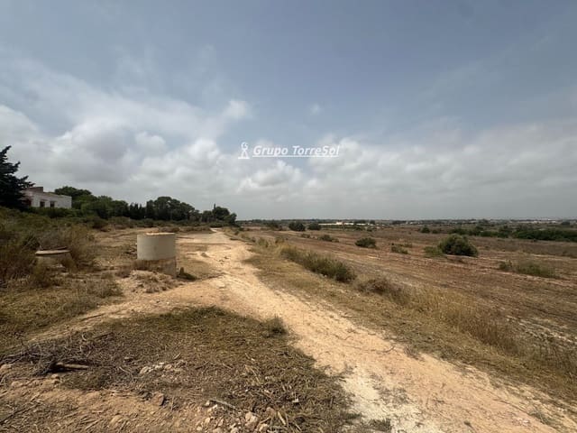 Ubebygd land til salgs i Elche / Elx - € 55 000 (Ref: 9977954)
